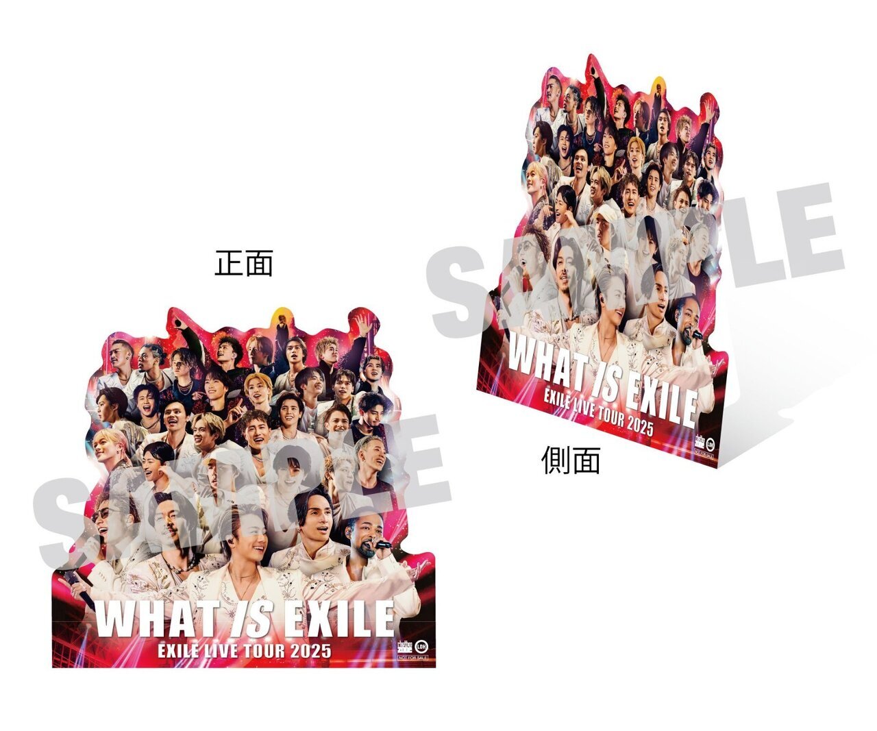 初回限定盤EXILEDVD ♡WHAT IS EXILE 2025 ▽DVD/EXILE/EXILE LIVE TOUR 2025 ”WHAT IS EXILE” (初回生産